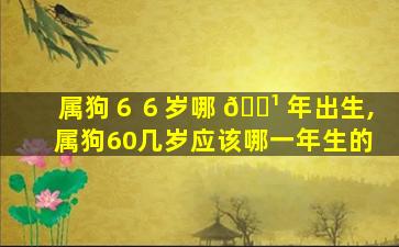 属狗６６岁哪 🌹 年出生,属狗60几岁应该哪一年生的